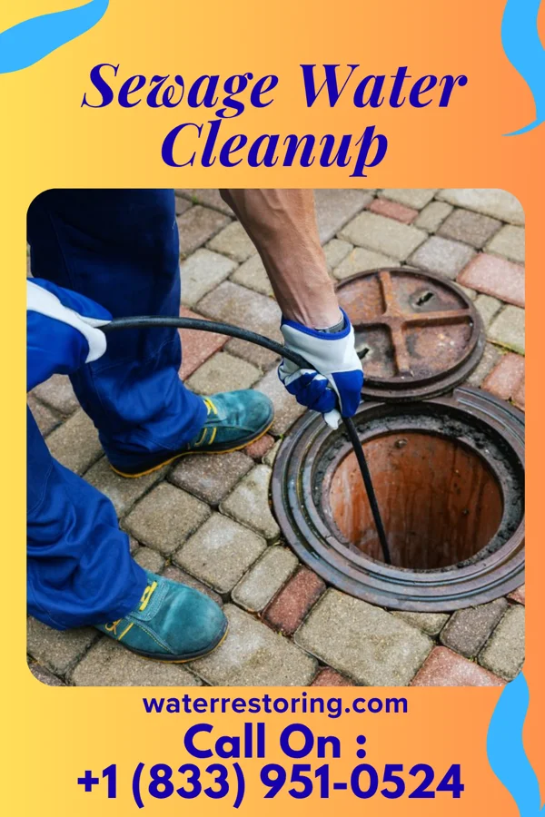 Sewage Water Cleanup in Hardwick, MN